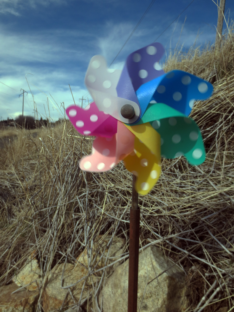 Pinwheel Susan Fluegel
